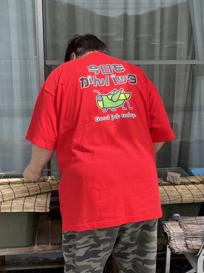 休日の趣味やおでかけに