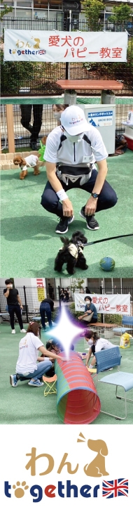 愛犬パピー教室のイベント用アイテム作成