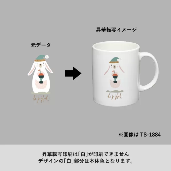 湯呑(M)　ホワイト