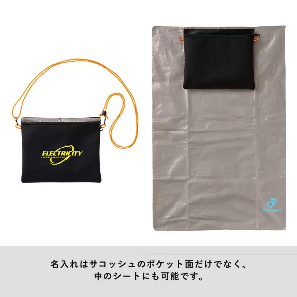 防災緊急10点セット シートインサコッシュタイプ