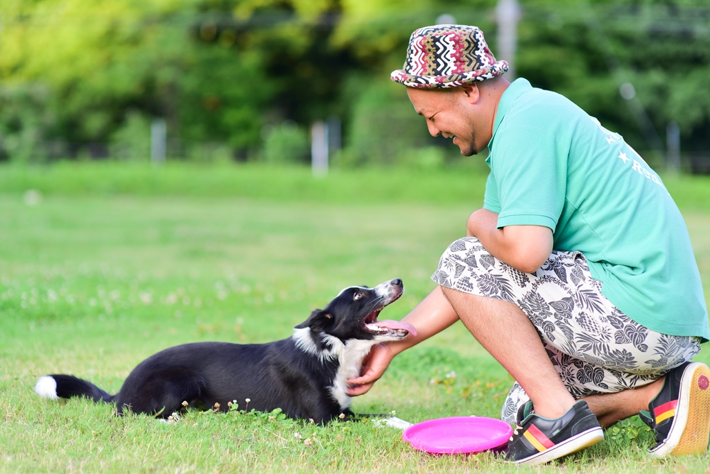 犬は人間のパートナー